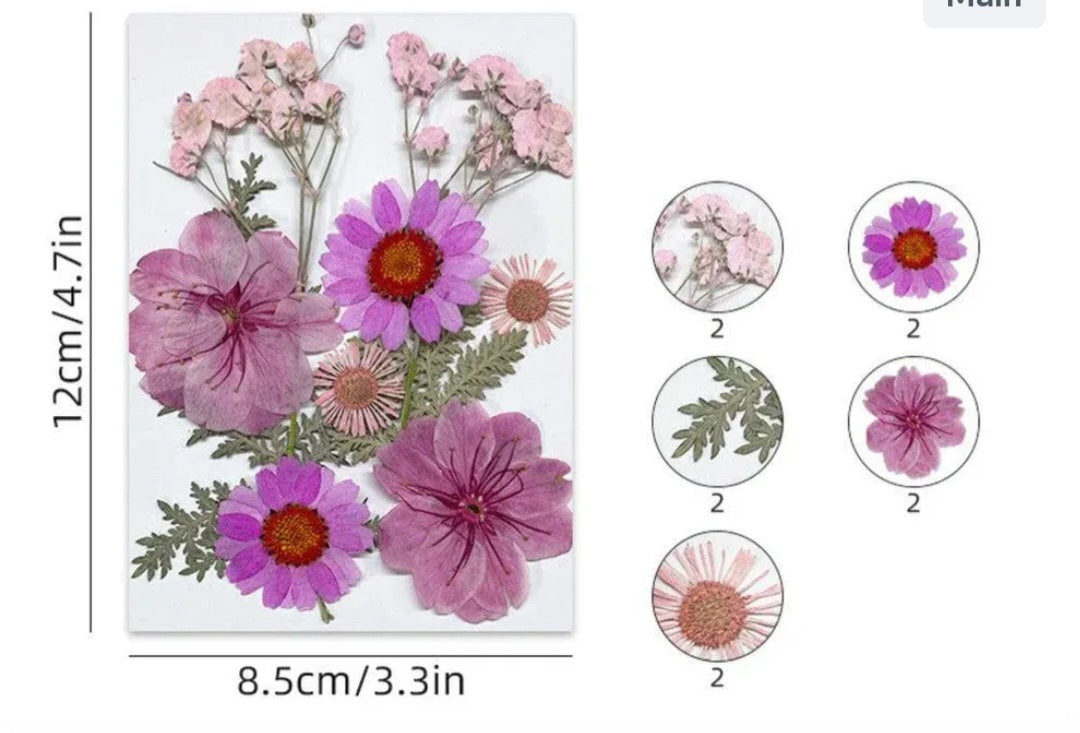 10 IN 1 pressed flower FL172