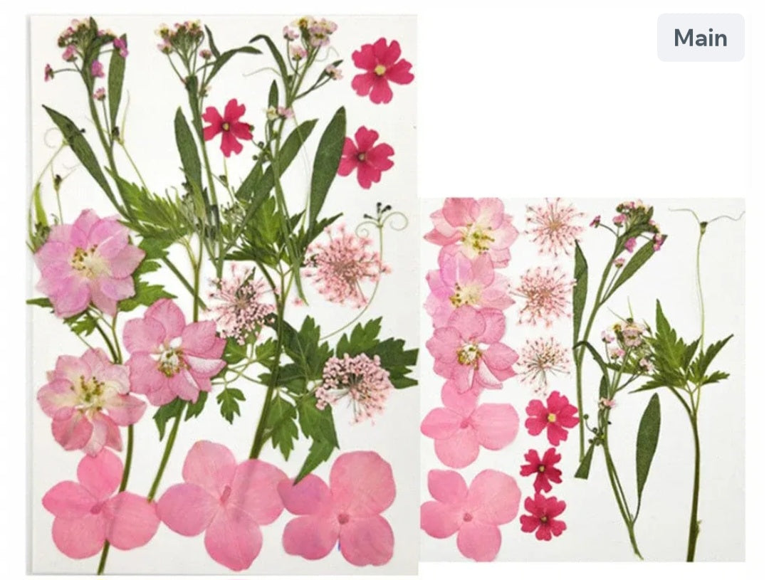 18 IN 1 pressed flower FL042