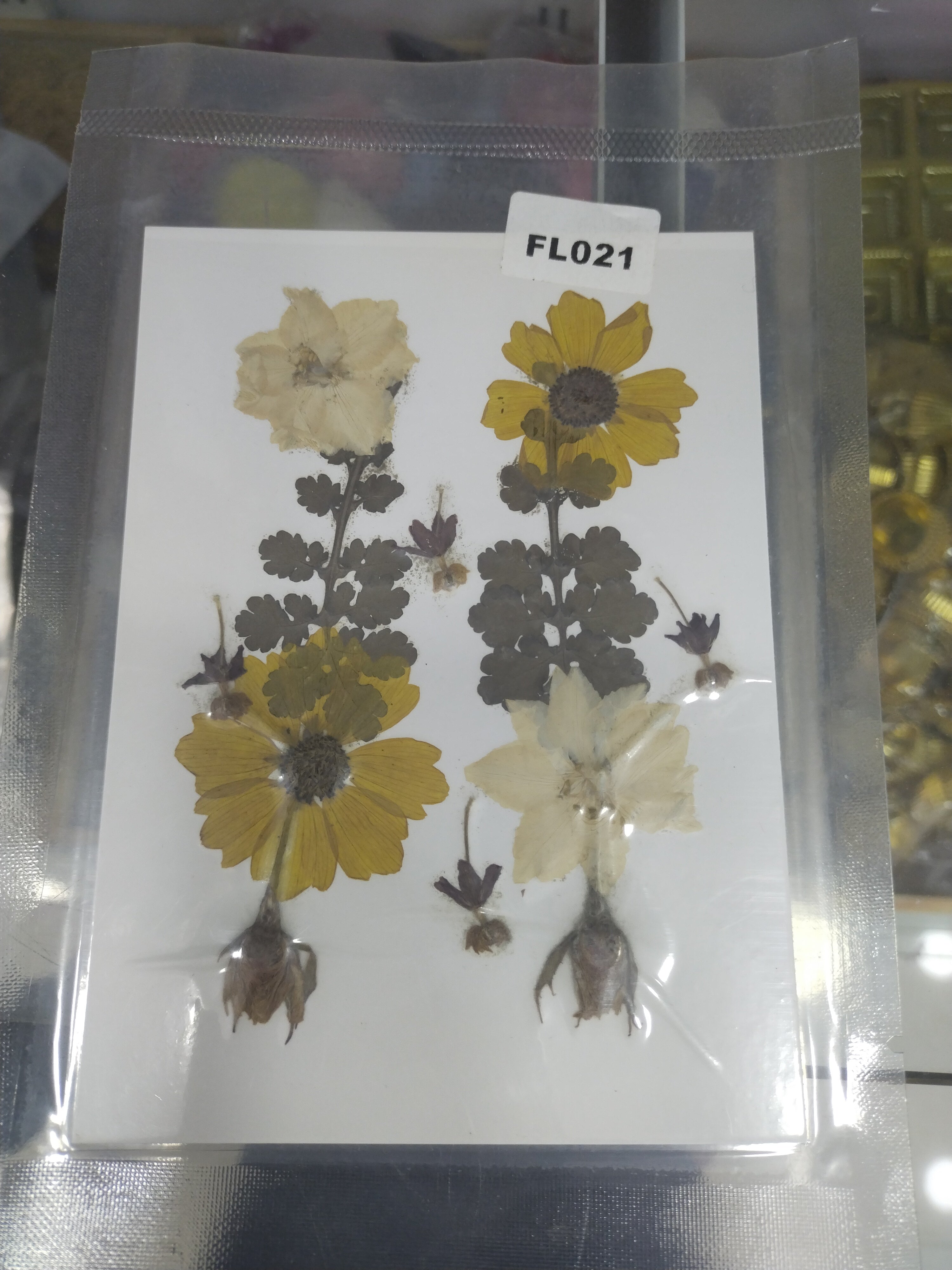 12 In 1 Pressed Flowers Fl021