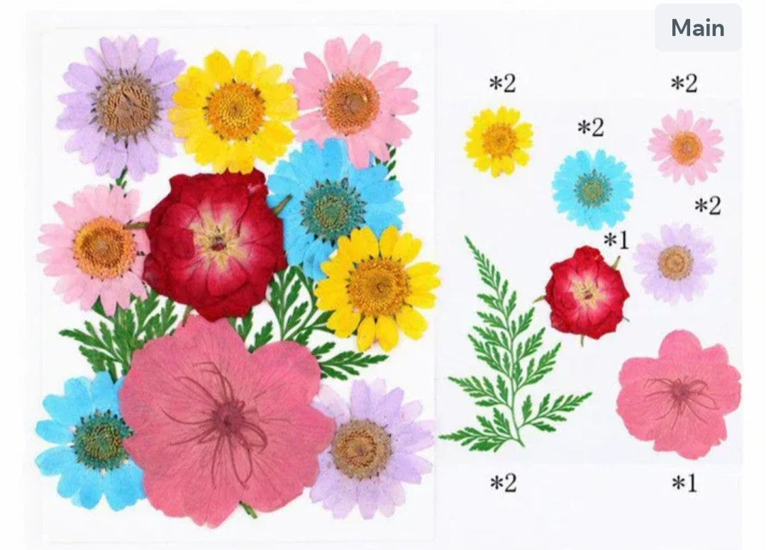 12 In 1 Pressed Flowers Fl178