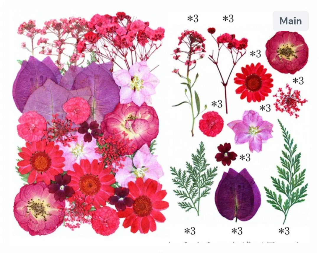 32 in 1 pressed flower FL157