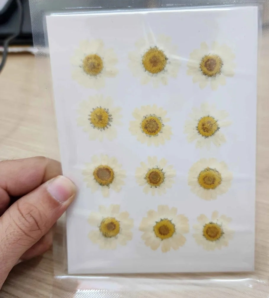 DRIED FLOWER PRESS RESIN