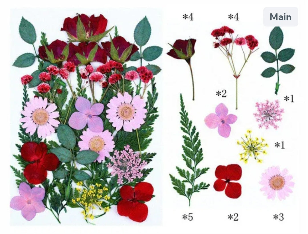 25 In 1 Pressed Flowers Fl074