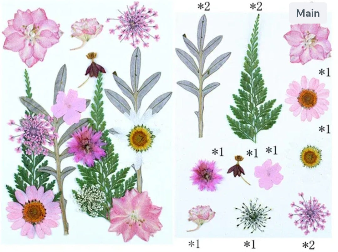 15 In 1 Pressed Flowers Fl182