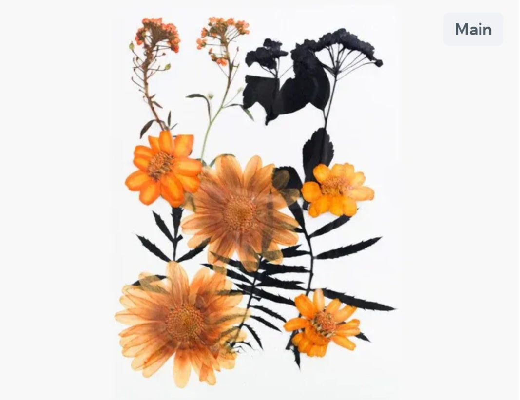 12 In 1 Pressed Flowers Fl178