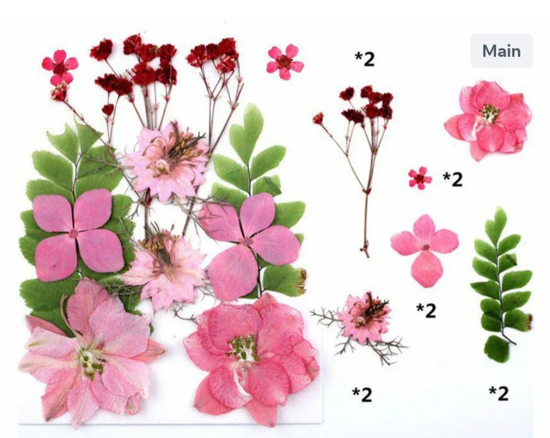 12 in 1 pressed flower FL029